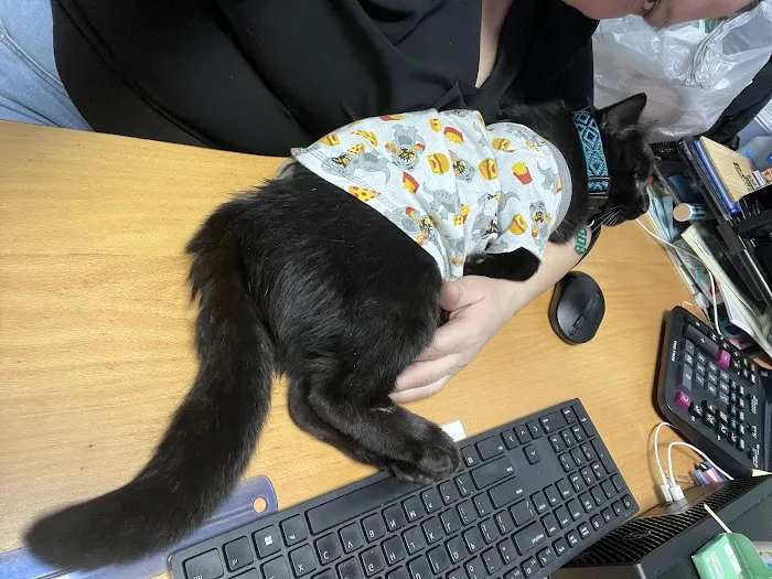 Vetco Vaccination Clinic 12