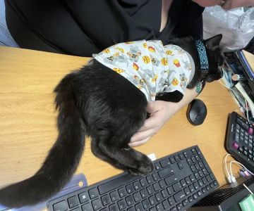 Vetco Vaccination Clinic