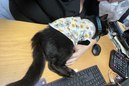 Vetco Vaccination Clinic