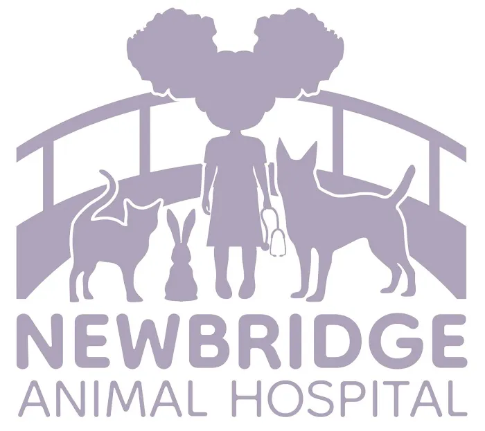 Newbridge Animal Hospital 1
