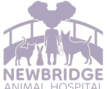 Newbridge Animal Hospital