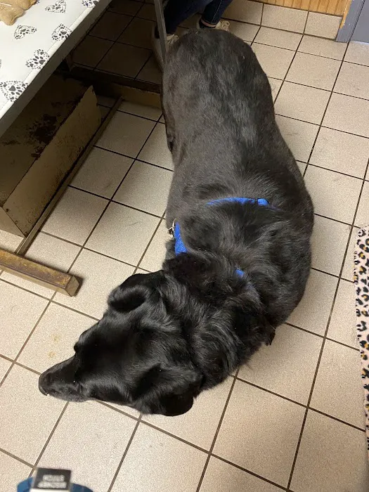 Waldorf Animal Clinic 12
