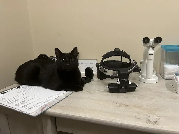 Armour Veterinary Ophthalmology 12