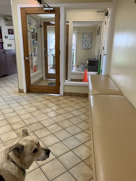 Wheaton Animal Hospital 6