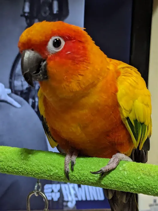 Wheaton Animal Hospital 1