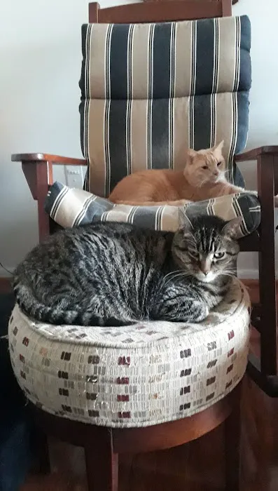 Wheaton Animal Hospital 3