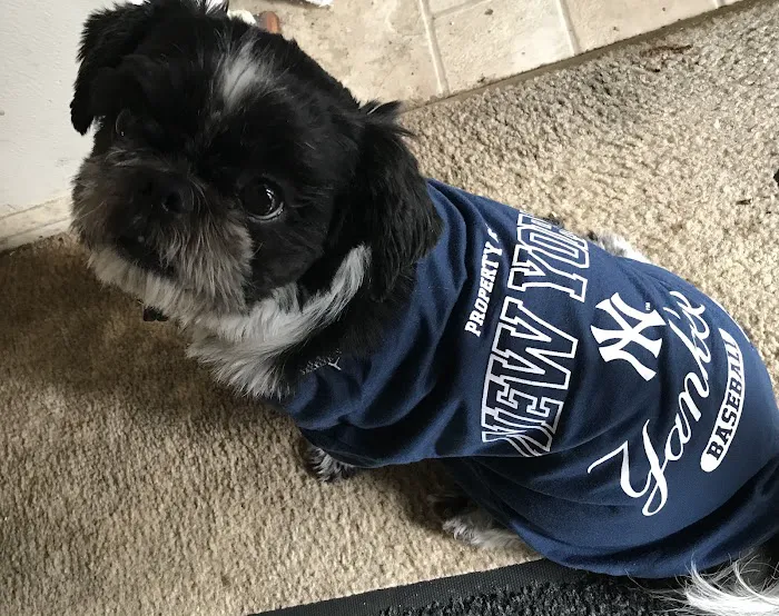 Banfield Pet Hospital 12