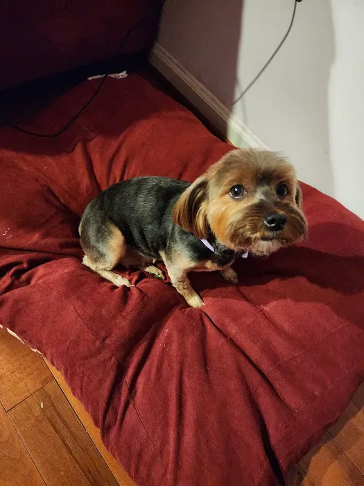 Banfield Pet Hospital 12
