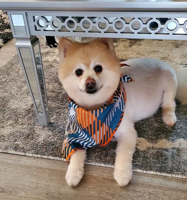 Banfield Pet Hospital 12