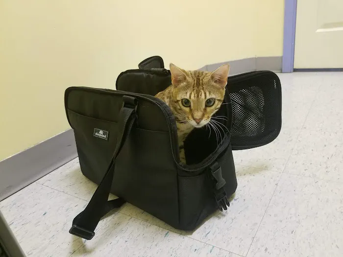 White Plains Animal Hospital 6