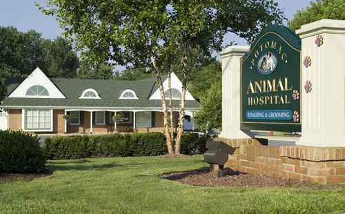 Potomac Animal Hospital Inc 7