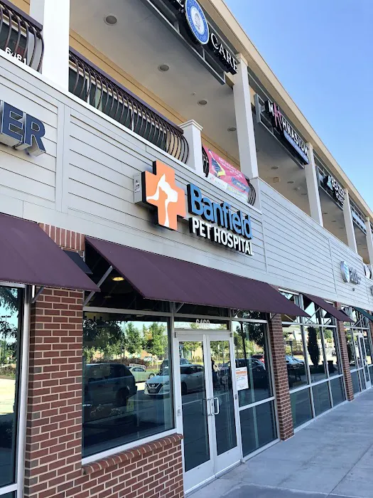 Banfield Pet Hospital 5
