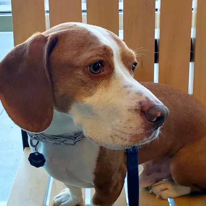 Banfield Pet Hospital 3