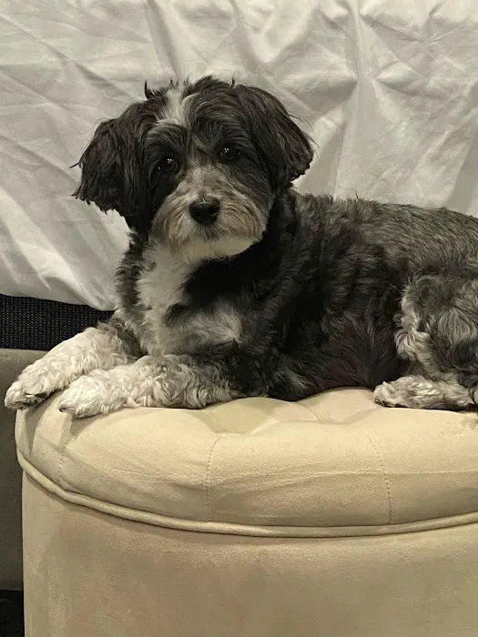 Banfield Pet Hospital 4