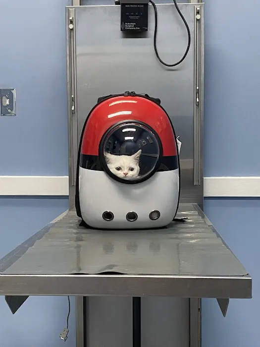 Pet Medical Center of Springfield 6