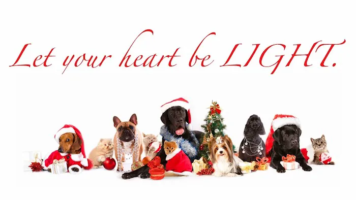 Pet Medical Center of Springfield 9