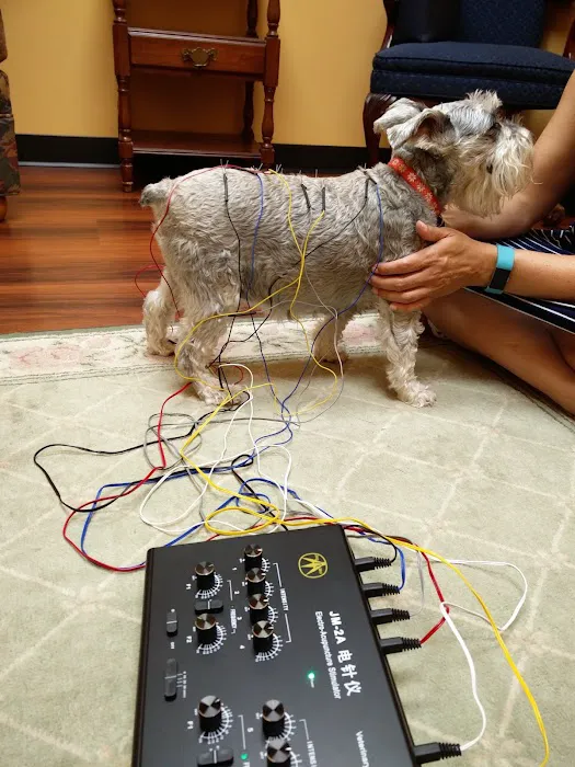 Healing Point Veterinary Acupuncture 5