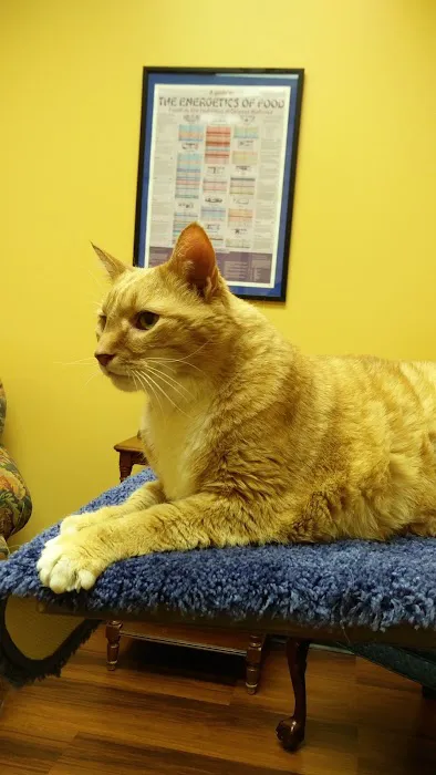 Healing Point Veterinary Acupuncture 3