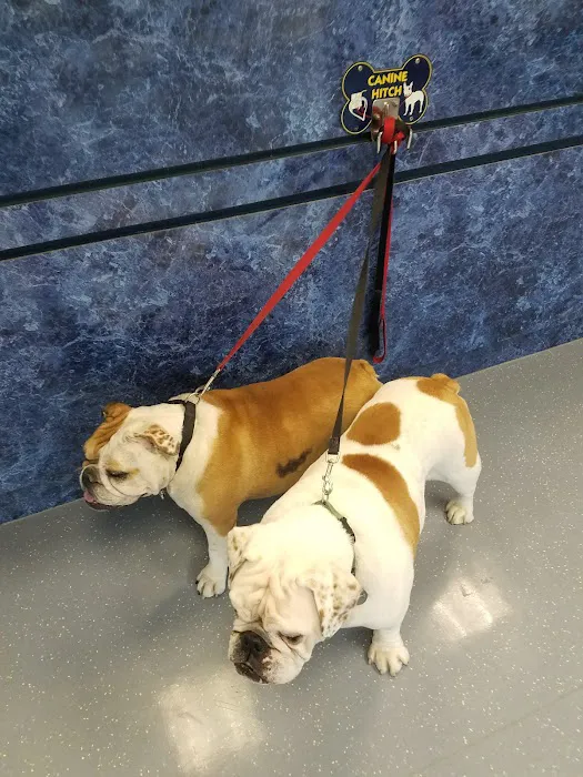 Fort Belvoir Veterinary Center 5