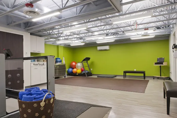 Veterinary Surgical Centers - Rehabilitation 3