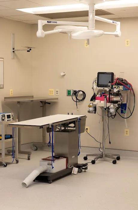 Specialists at Veterinary Surgical Centers 12