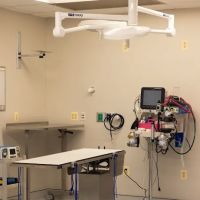 Specialists at Veterinary Surgical Centers ico