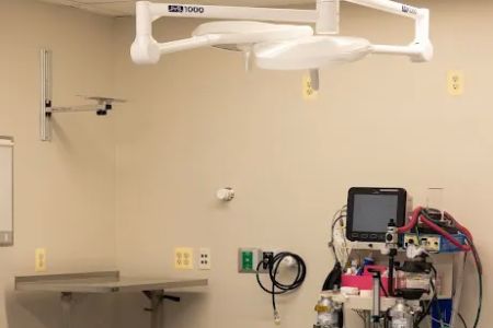 Specialists at Veterinary Surgical Centers