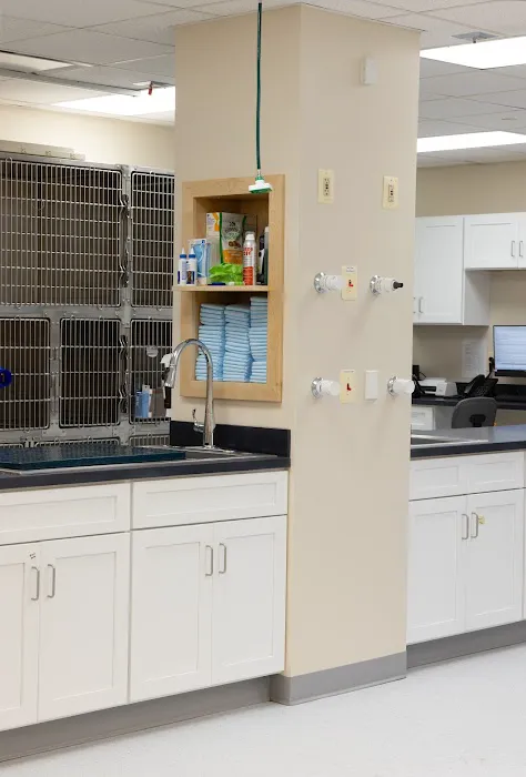 Specialists at Veterinary Surgical Centers 12