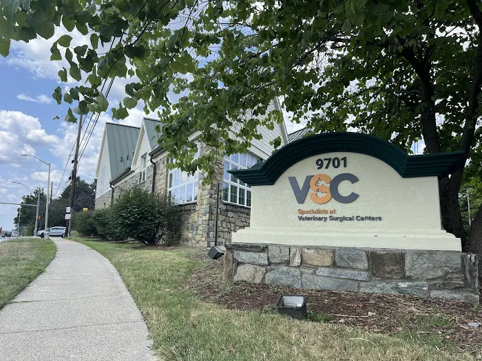 Specialists at Veterinary Surgical Centers 12