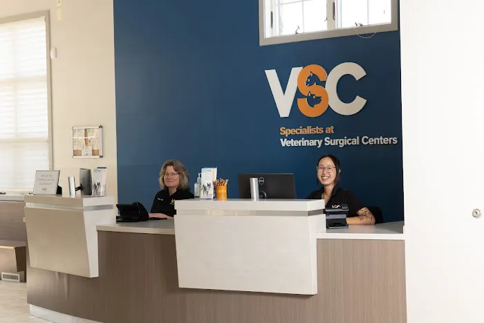 Specialists at Veterinary Surgical Centers 12