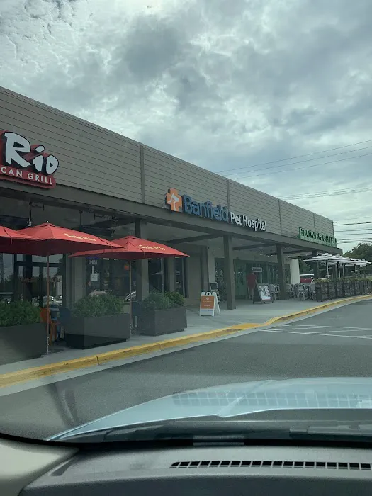 Banfield Pet Hospital 12