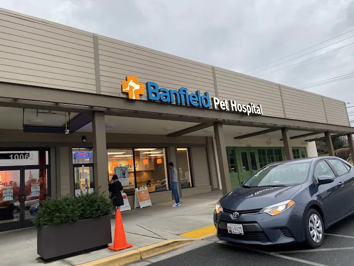Banfield Pet Hospital 12