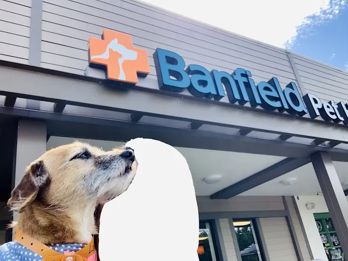 Banfield Pet Hospital 12
