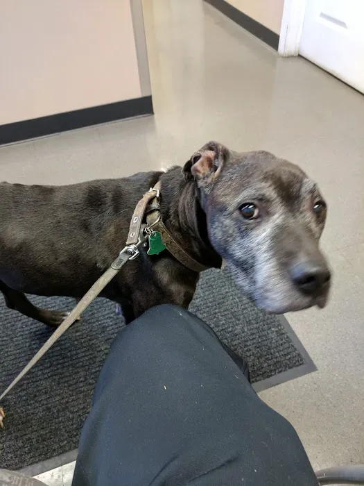 Grove Center Veterinary Hospital 1