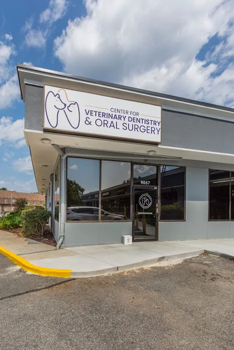 Center for Veterinary Dentistry and Oral Surgery LLC 4