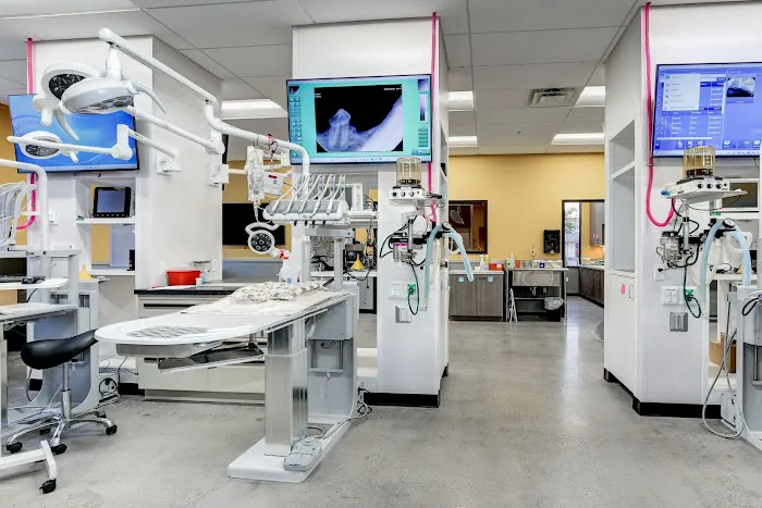 Center for Veterinary Dentistry and Oral Surgery LLC 9