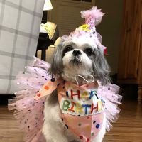CVCA Cardiac Care For Pets ico