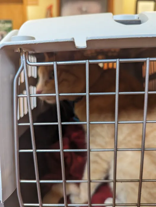 Reston Animal Hospital 5