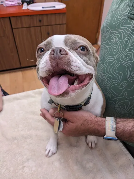 Reston Animal Hospital 2