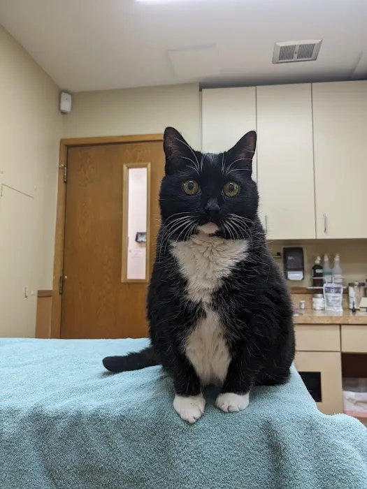 Reston Animal Hospital 9