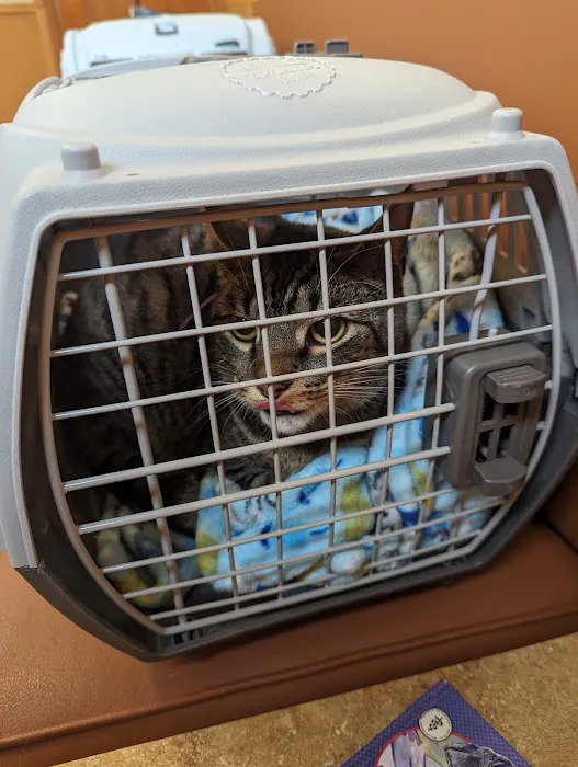 Reston Animal Hospital 10