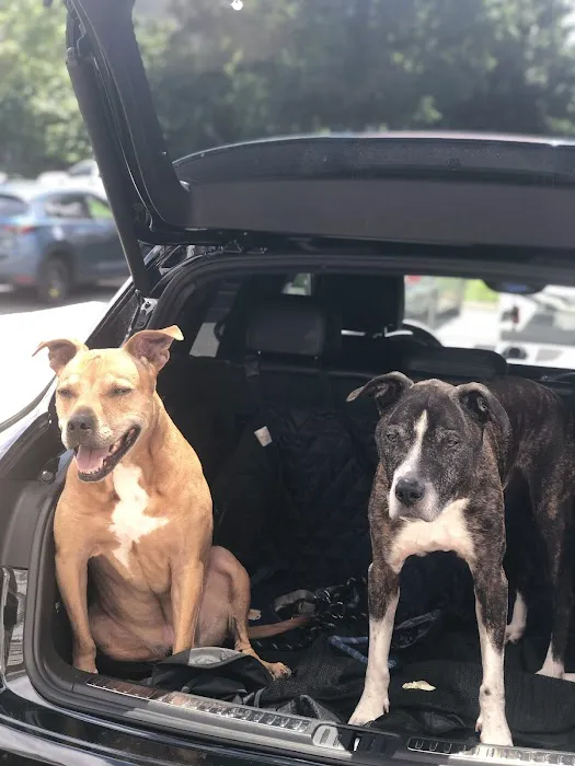 Banfield Pet Hospital 2
