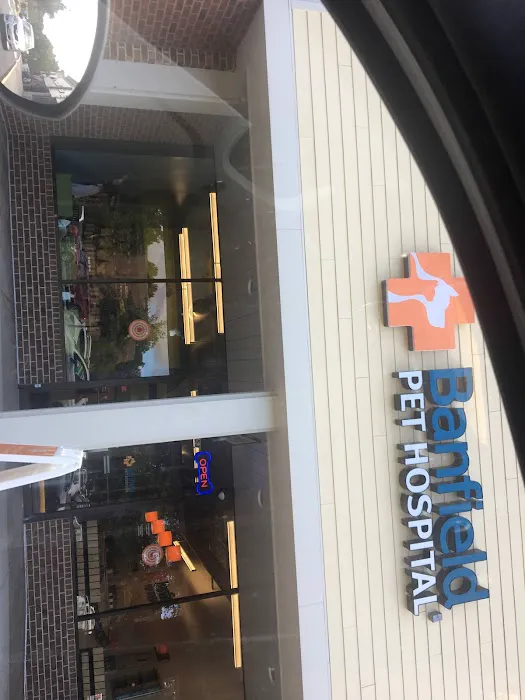 Banfield Pet Hospital 5