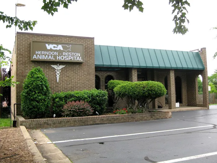 VCA Herndon-Reston Animal Hospital 5