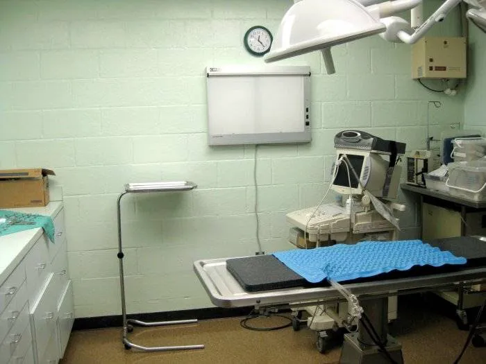 VCA Herndon-Reston Animal Hospital 1