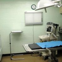 VCA Herndon-Reston Animal Hospital ico