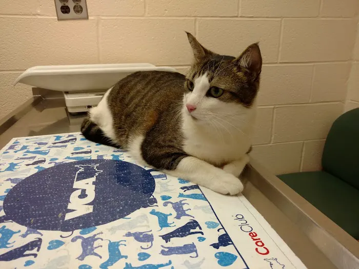 VCA Herndon-Reston Animal Hospital 3