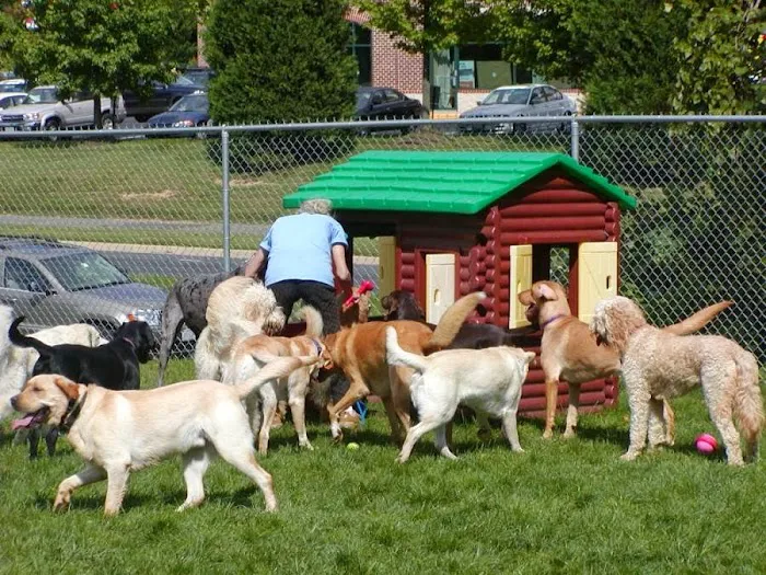 Seneca Hill Animal Hospital Resort & Spa 10