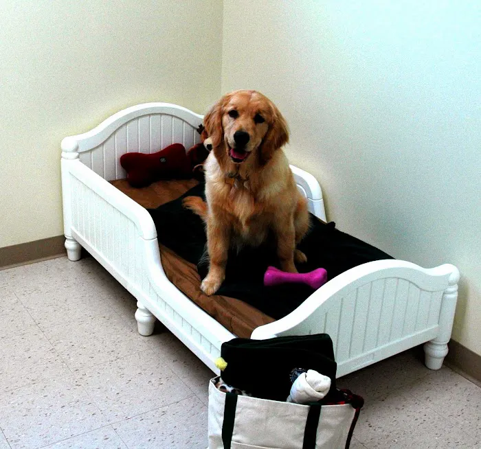 Seneca Hill Animal Hospital Resort & Spa 2