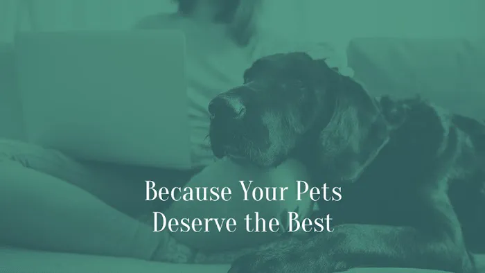 Seneca Hill Animal Hospital Resort & Spa 1